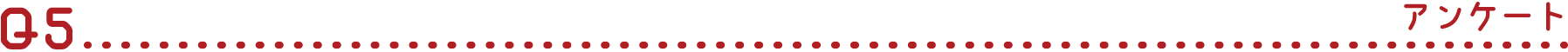 Q5 アンケート